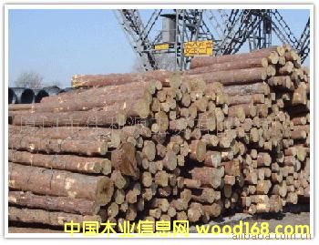 ɼľ��Ԕ��(x��)��B