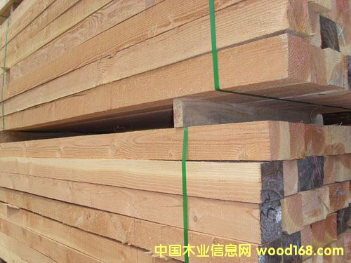 ����(y��ng)��ľ