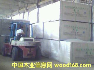 ����MM���ܶ��w�S��