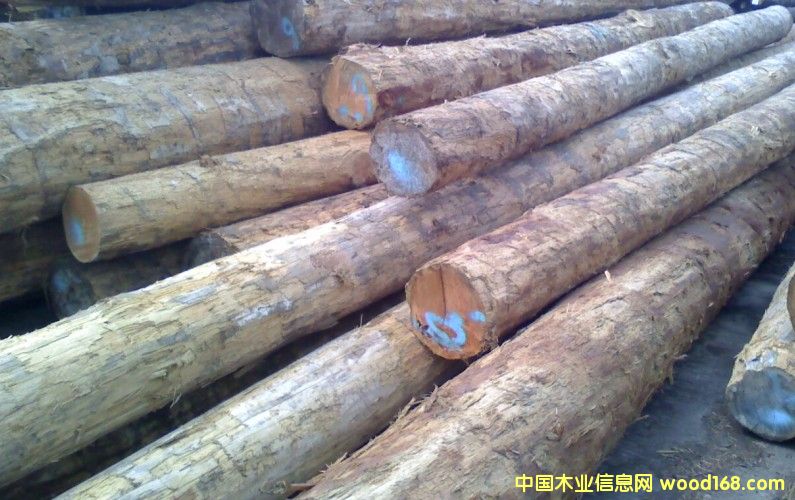 ���ô�(y��u)�|(zh��)������ԭľ