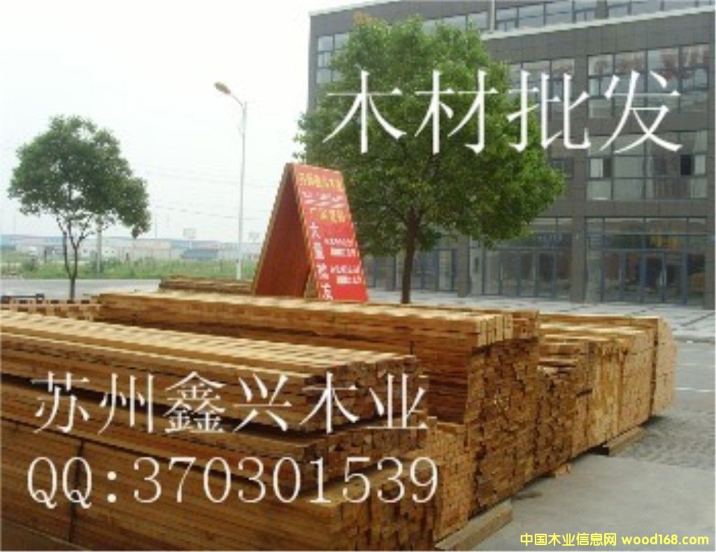 ľ�����l(f��)