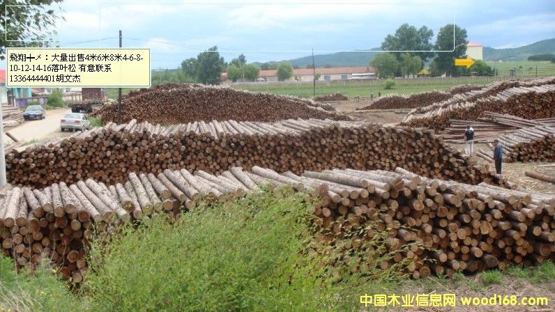 �������~�ɗU