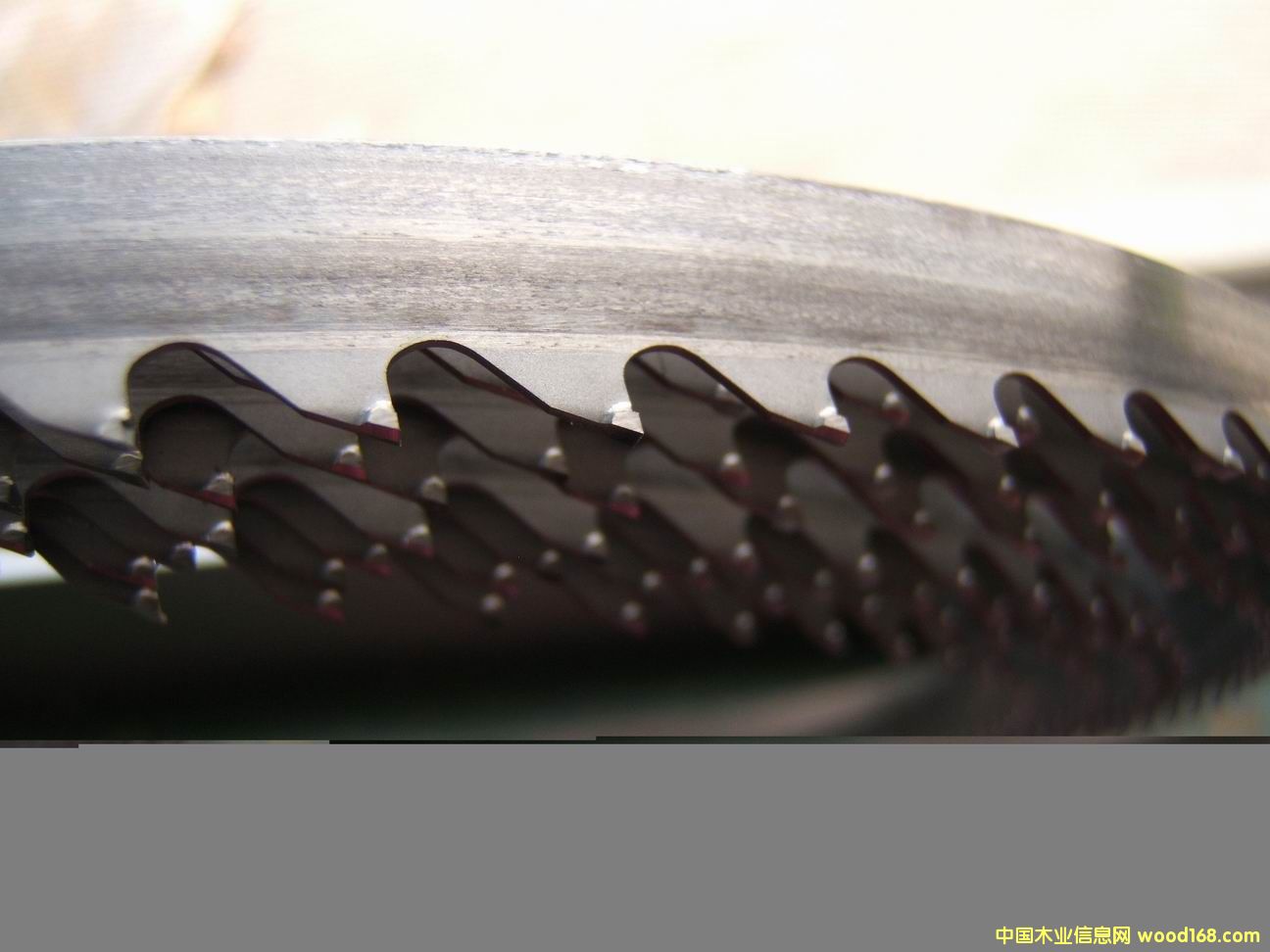 Ӳ�|(zh��)�Ͻ�ľ�����