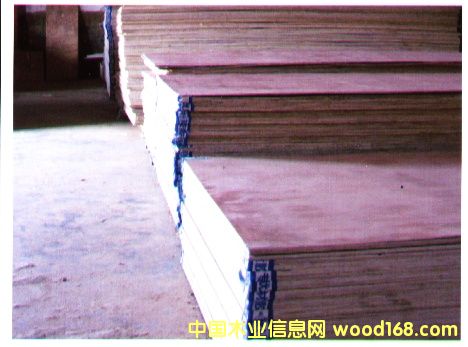 ��(x��)ľ��