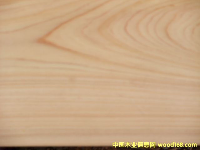 ��ľ��Ԕ����B