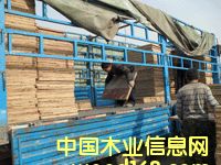 ��(y��u)�|(zh��)�а� �b܇�F(xi��n)��