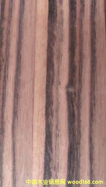 ��к�̴��ľ����4