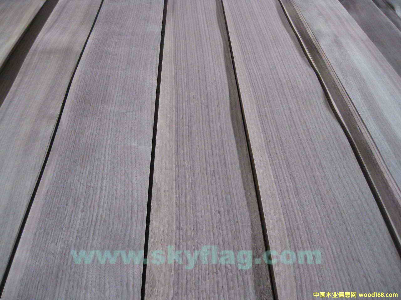 ����ľƤ--0.6�ں���ֱ�y