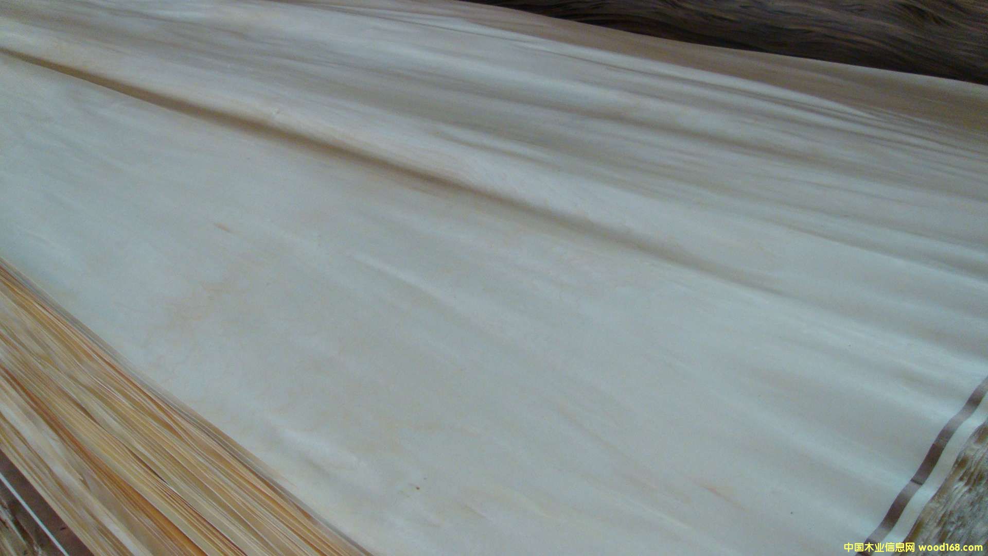 �ľľƤ��Ԕ��(x��)��B