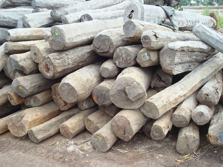 �R�_��˹���S̴2��Ԕ����B