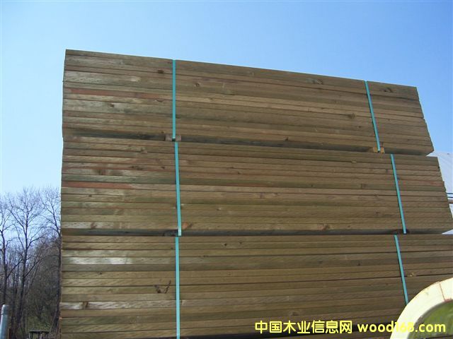 ����ľ��Ԕ��(x��)��B