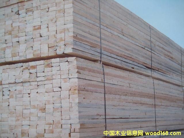 ����ľ����Ԕ��(x��)��B