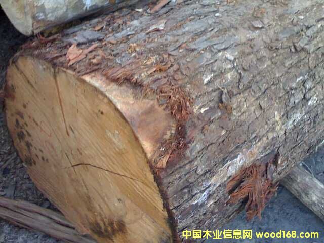 �ᗗ��Ԕ����B