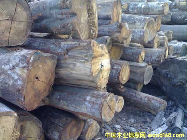 �׿�1��Ԕ����B