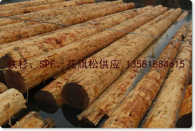 ������ Douglas Fir ԭľ J