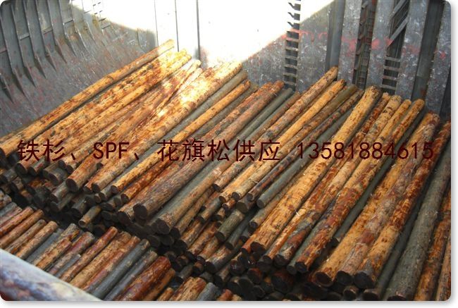 �Fɼ hemlock ԭľ k