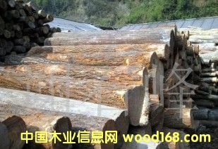 ���S�L�ڹ�����ľ��ԭľ.��ģ���Ԕ����B