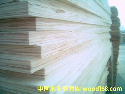 ����ģ���Ԕ��(x��)��B