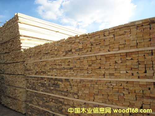 ��ľľ����Ԕ��(x��)��B