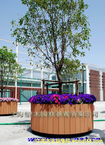 �����ƄӘ��