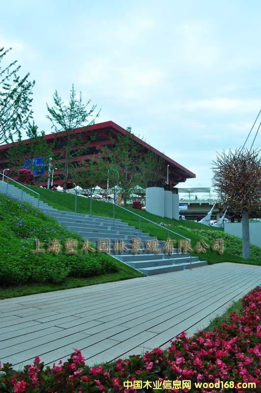 ������ľ�ذ�9��Ԕ��(x��)��B