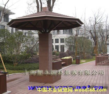 ��ľͤ�ӵ�Ԕ��(x��)��B