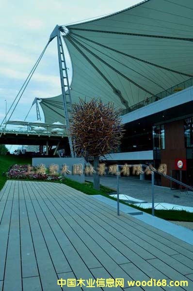 ������ľ�ذ�8��Ԕ��(x��)��B