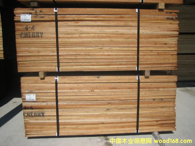 ������(sh��)ľ��Ԕ��(x��)��B