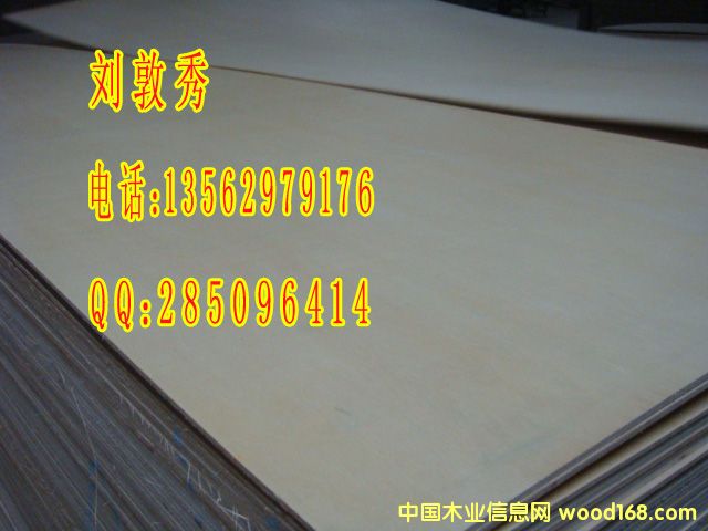 ��ؔľ�I(y��)����(y��ng)���߳���������С�T��13562979176��Ԕ����B