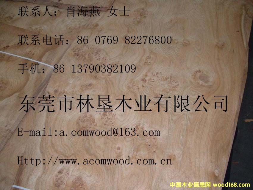 ��ľ�����Ԕ����B