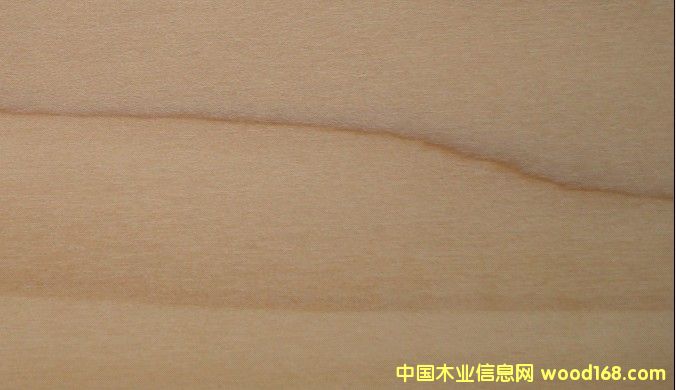 �S��ľYP��Ԕ��(x��)��B