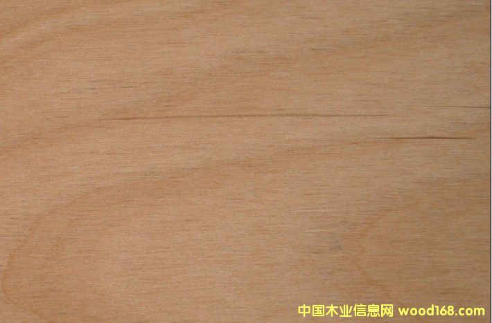 ����ľALD��Ԕ��(x��)��B