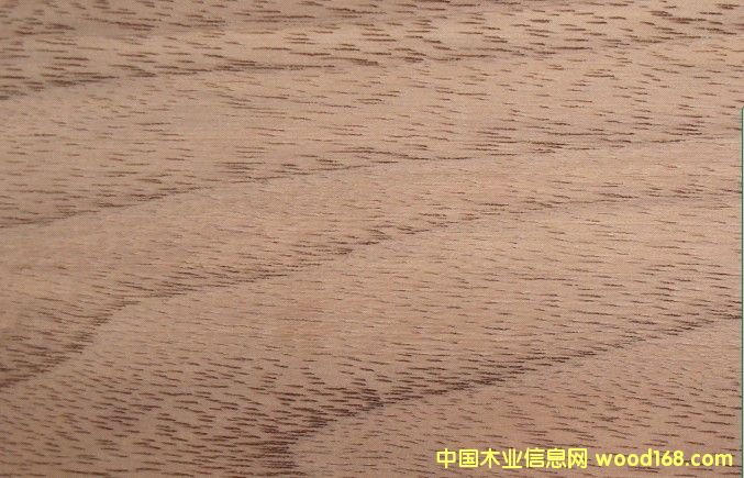 �ں���WAL��Ԕ��(x��)��B