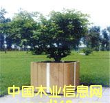 ��ľ��ľ�ܣ���(sh��)����Ԕ��(x��)��B