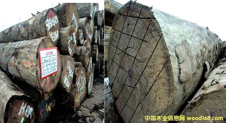 �y�� �T��