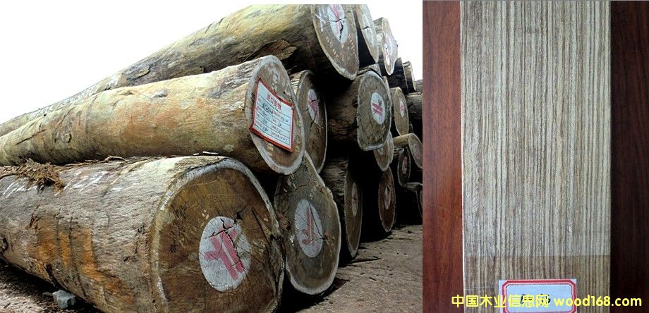 �t�Fľ С���R��Ԕ��(x��)��B