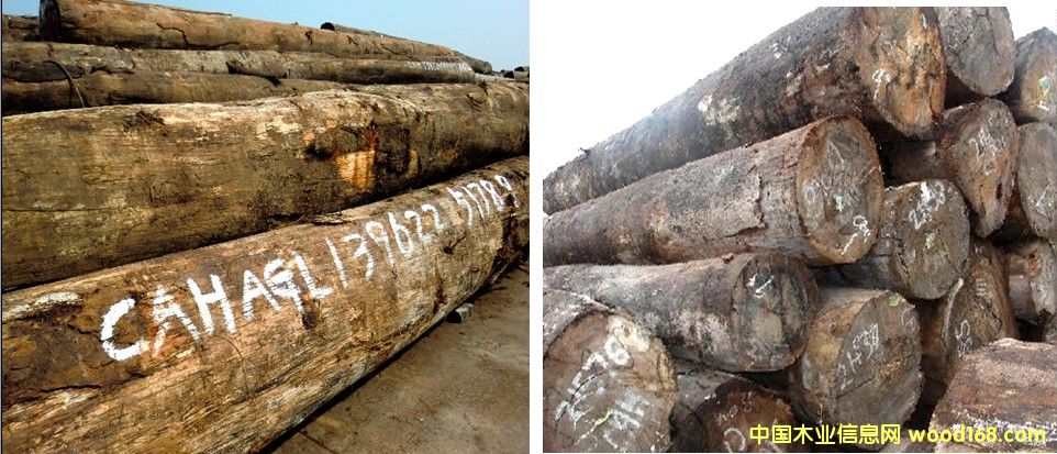 �����m ������Ԕ��(x��)��B