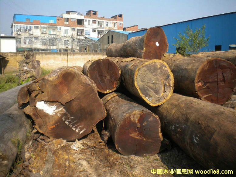 ���_���µ���Ԕ��(x��)��B