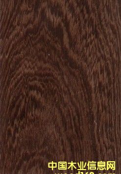 �{ɫ�l(w��i)�����������(y��u)�|�u��ľ�ذ����gӭ���ӆُ