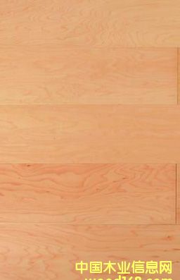 �؃r(ji��)��������(y��ng)��(y��u)�|(zh��)�ӗ����ӌ�(sh��)ľ��(f��)�ϵذ����m�ϳ���