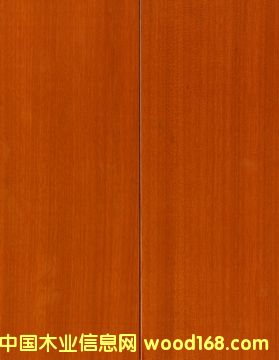 �{(l��n)ɫ�l(w��i)���������(y��ng)��(y��u)�|(zh��)�S�|�� 