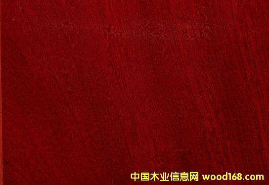 �{ɫ�l(w��i)�����������(y��u)�|���޼t̴,�gӭӆُ 