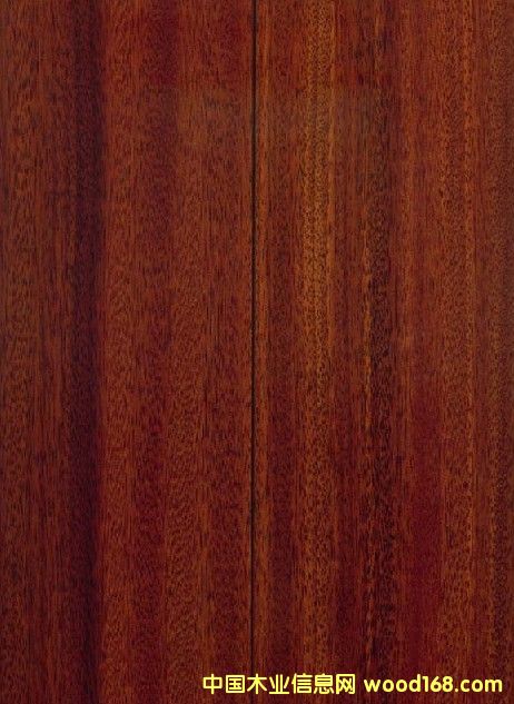 �{ɫ�l(w��i)���������(y��ng)��(y��u)�|(zh��)��̴�ذ�