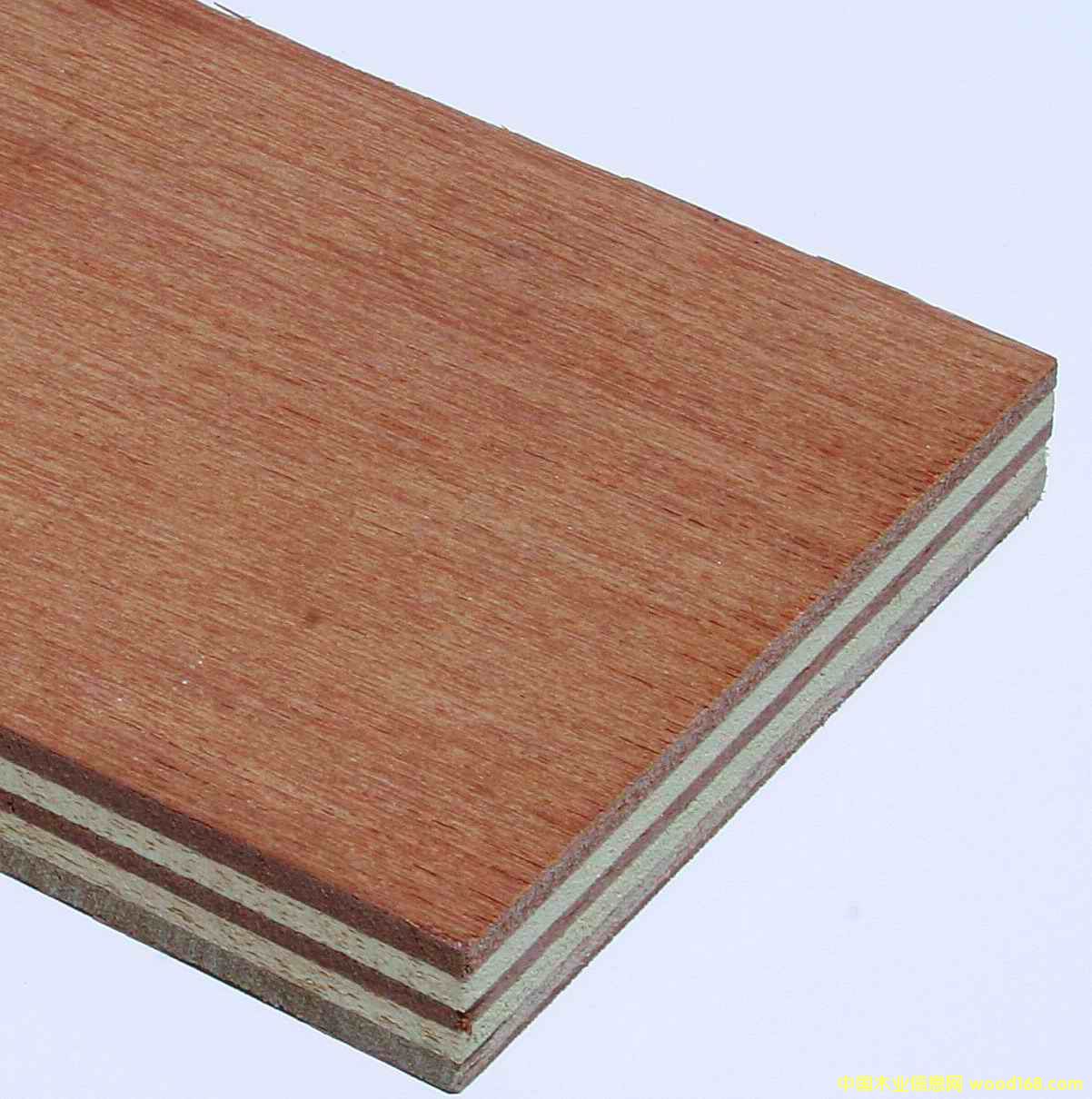 �M���z�ϰ�