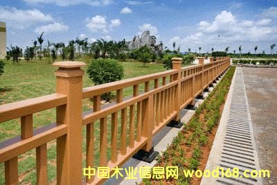 ��ľ�ڗU��Ԕ��(x��)��B