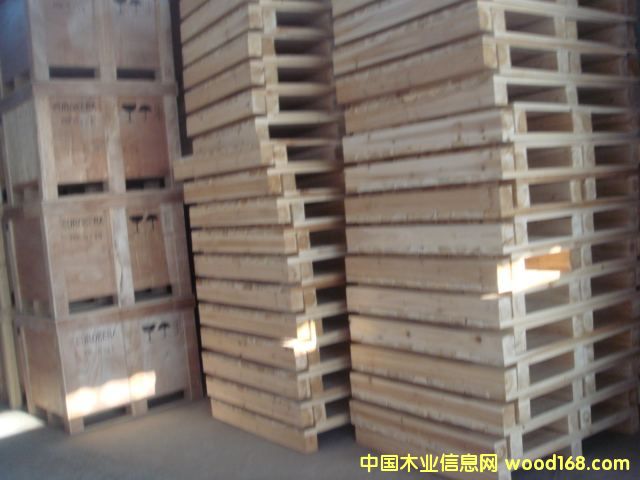 �бP(p��n)ľ��