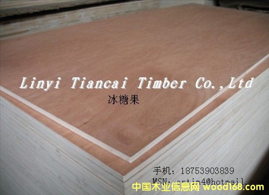 ���ǹ�����z�ϰ�