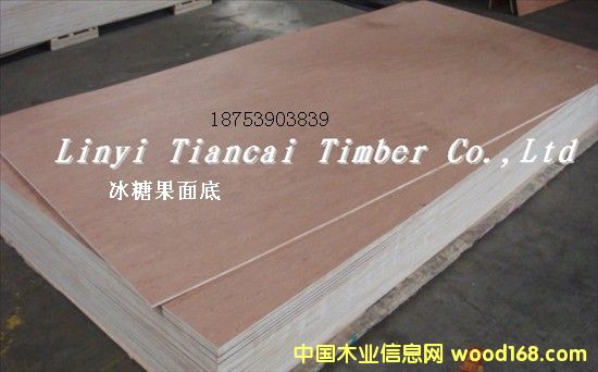 ���ǹ��T��