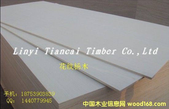 ���y��ľ�z�ϰ�