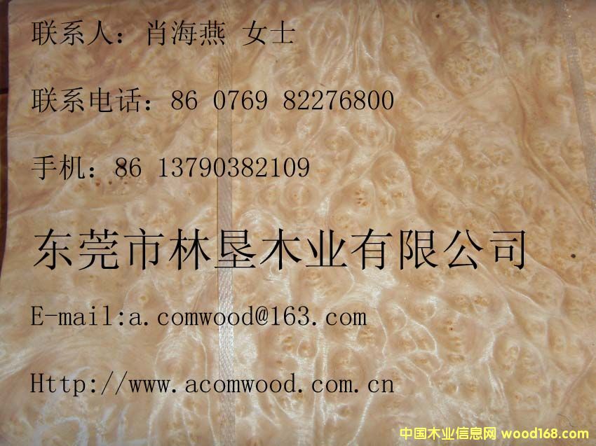 ɽ�������